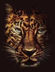 Foto op Plexiglas Leopard poster © Masum