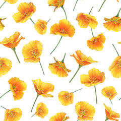 Seamless pattern with gold poppy flower (golden Eschscholzia, California sunlight, cup of gold, tufted desert Mojave poppy). Hand drawn watercolor painting illustration isolated on white background.