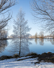 Trees covered by hoar frost at Kellands Pond, Twizel, New Zealand. Vertical format.