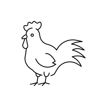 Rooster farm animal linear icon. Editable stroke