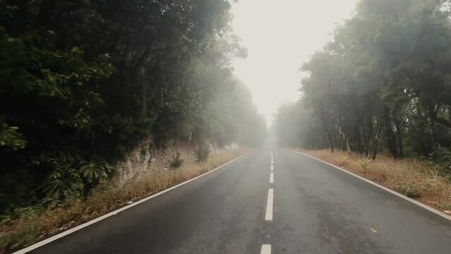 Point of view of driver driving on a turning roads with fog and bad weather condition and visibility. Travel and transport concept on long road. Background of nature and trees around