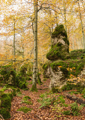 Autumnal landscape in the Sierra de Urbasa, Foral Community of Navarra. Spain