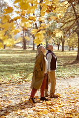 Senior caucasian couple walking in park during the autumn