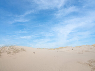 Fototapeta na wymiar Dunes North Holland, Noord-Holland province, The Netherlands