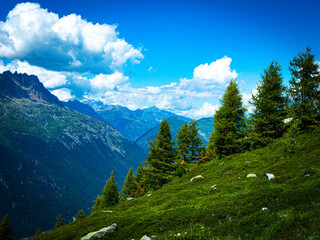 Obraz premium landscape with sky