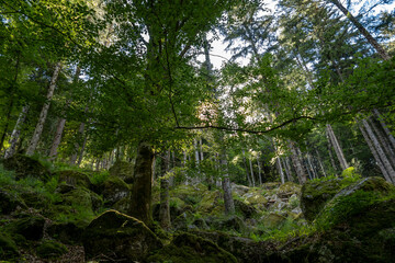 Val Masino (Lombardia, Italia)