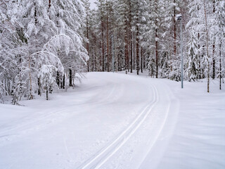 road in winter