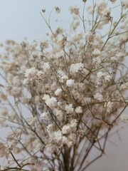 Dried white flowers. Nordic decoration. Calm and serenity feeling