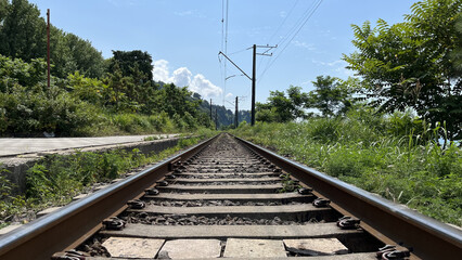 railway in the forest