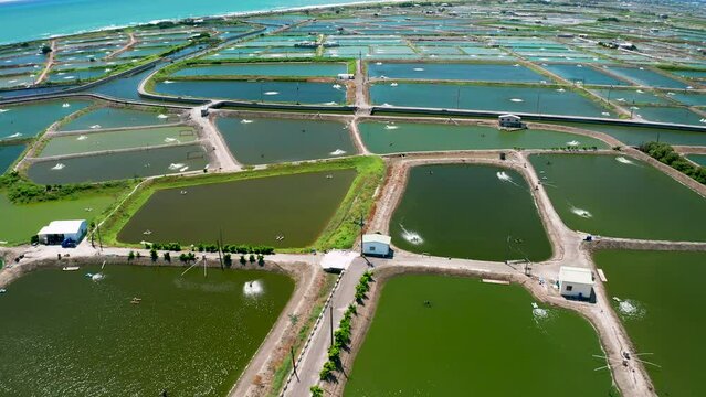 Aerial view of the fish farm with aerator pump, Taiwan.