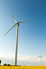 Fototapeta na wymiar Landsape with Windmills on wheat field and blue sky