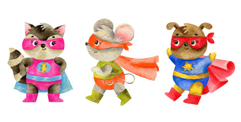 A cute super hero animals - racoon, mouse, dog - watercolor illustration. Super hero funny animals with funny costume and mask in cartoon style.