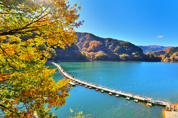 奥多摩湖　麦山の浮橋（ドラム缶橋）と紅葉の風景