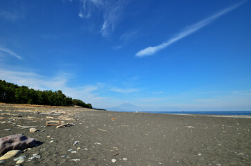 静岡県　三保松原と冠雪の富士山と青空の風景