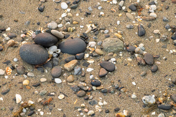 background of small stones by the beach with shell