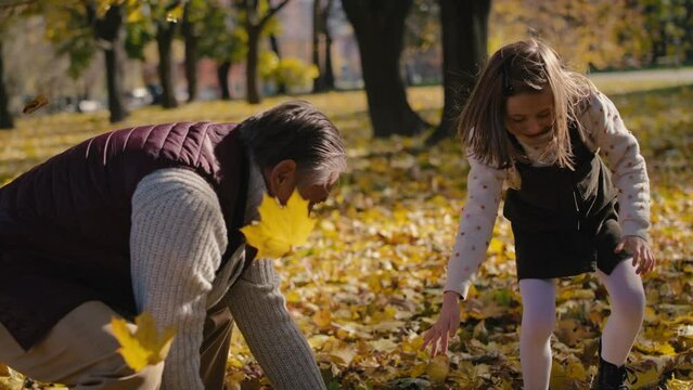 Caucasian grandfather playing by leaf with his granddaughter in park. Shot with RED helium camera in 4K     