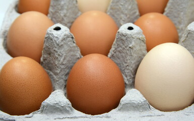 Brown and white chicken eggs in cardboard egg tray. Organic egg for healthy protein breakfast. Easter symbol. Raw chicken eggs. 