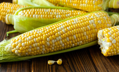 Fresh yellow corns ears with leaves.