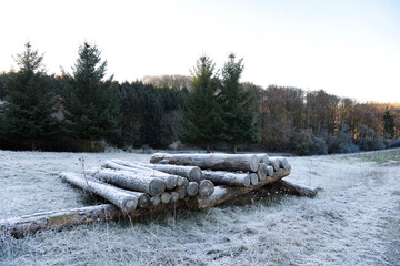 Fototapeta na wymiar wood in the snow