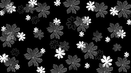 Fototapeta na wymiar Airy pattern of leaves on a black background. Abstract monochrome background. Illustration.