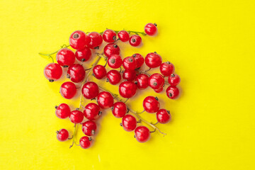 Sprigs of red currant on yellow background. Fresh bright currant. Sweet juicy currant, organic berries harvest - healthy eating and food concept.