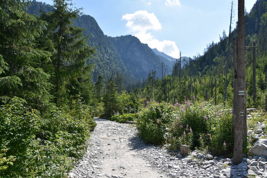 Dolina Roztoki, Tatry, TPN, krajobraz, g&oacute;ra