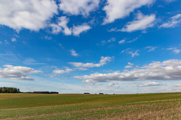 Obraz premium Landscape of the countryside. Czech. Typical summer countryside landscape.