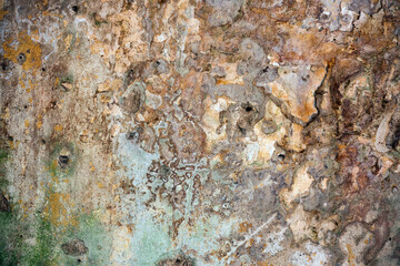 Unhealthy Rotten Wall Background Full frame
