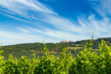 Fototapeta na wymiar View of Gottweig Abbey from vineyards, Lower Austria