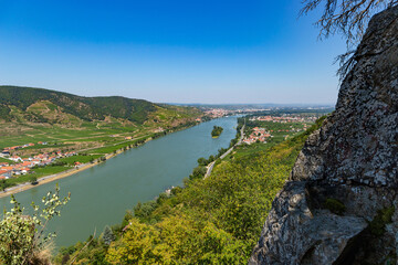 Fototapeta na wymiar Danube river and vineyards in Wachau valley. Lower Austria.