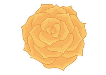 Yellow rose in vector isolated on white