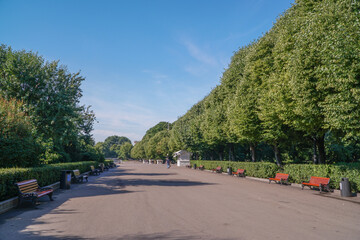road in the park