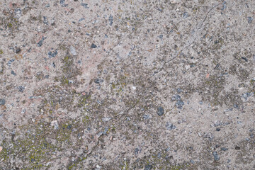 Grunge old stone surface with small cracks and green moss