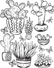 Vector illustration of cacti and succulents