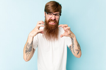 Young caucasian red-haired man isolated on blue background upset screaming with tense hands.