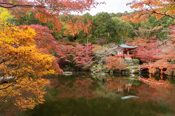 Fototapeta na wymiar Idyllic landscape of beautiful japanese garden with colorful maple trees in Daigoji temple in autumn season, Kyoto, Japan