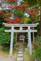 Torii gate in shrine in Kyoto, Japan