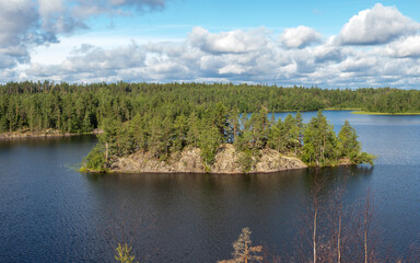 forest lake in summer