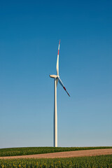 Windmill farm park and turbines for producing green electricity.