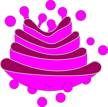 Golgi Apparatus