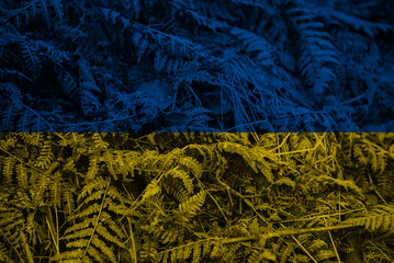 flag of Ukraine on the background of leaves from the forest