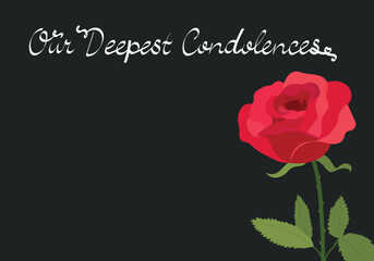 Condolence card with rose. Red rose flower on dark background. Vector illustration