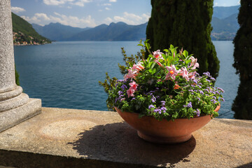 Beautiful View of Flower in Flowerpot at Lake Como. Botanical Decoration at Lario during Sunny Summer Day.
