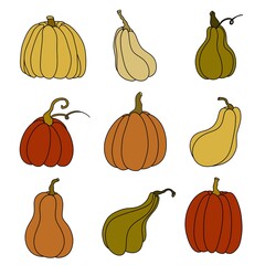 A set of pumpkins, black outlined and colored. Cute collection of  hand drawn pumpkins on white background. Elements for autumn decorative design, halloween invitation, harvest thanksgiving.