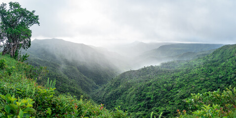Panorama at the viewpoint of back river gorges national park in Mauritius