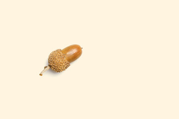 Acorn painted golden color isolated on beige background. Autumn time minimal concept. Fall harvest...