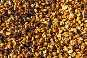Closeup of coffee beans illuminated by sunlight after natural drying process