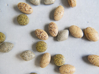 おしゃれな背景のサプリメント達