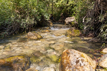 Naklejka na ściany i meble Fresh, cold, fast, shallow stream En Hardalit flows in the north of Israel, not far from Nahariya city