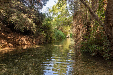Fresh,  cold, fast, shallow stream En Hardalit flows in the north of Israel, not far from Nahariya city